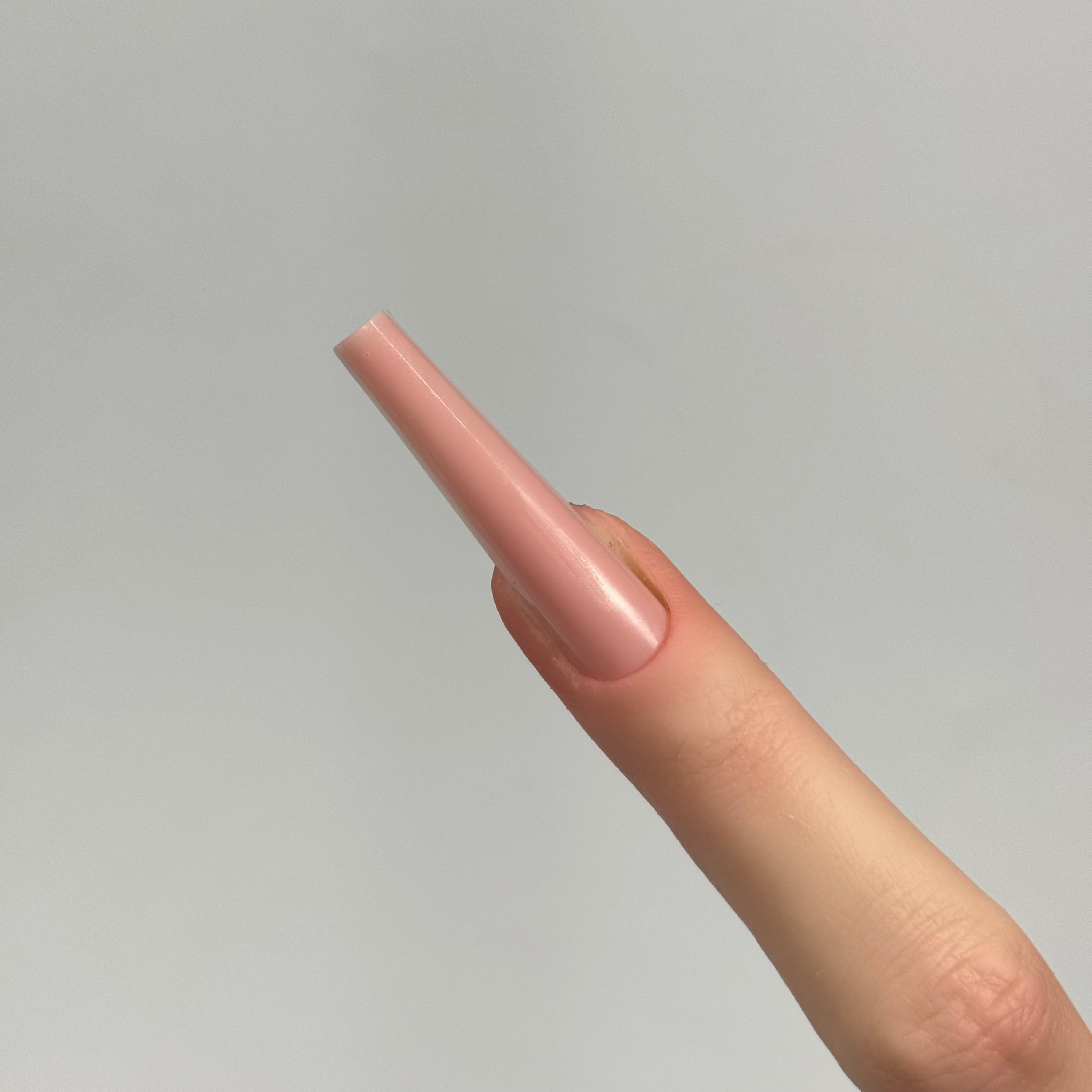 Bella Rose Formation Gel