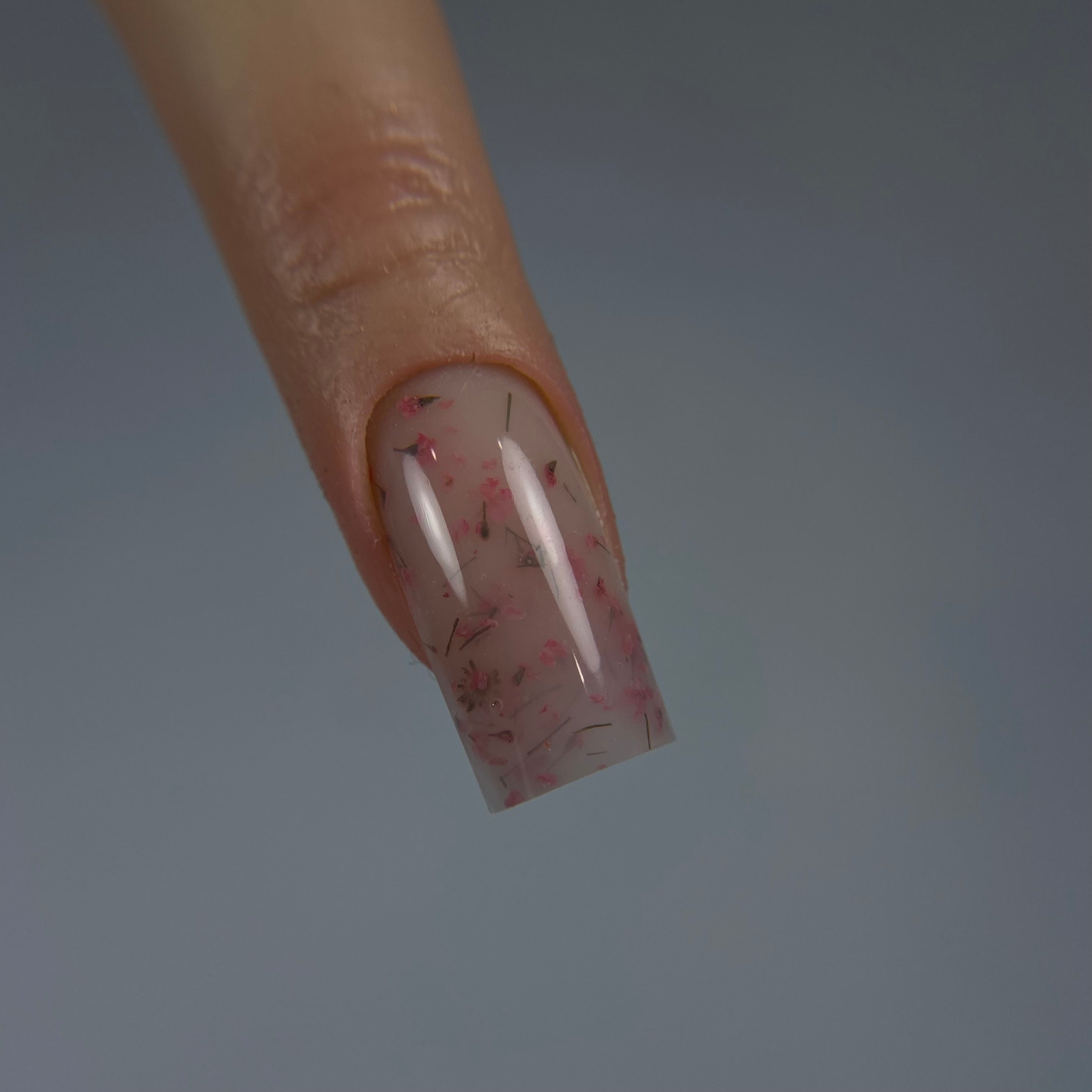 Primrose Formation Gel