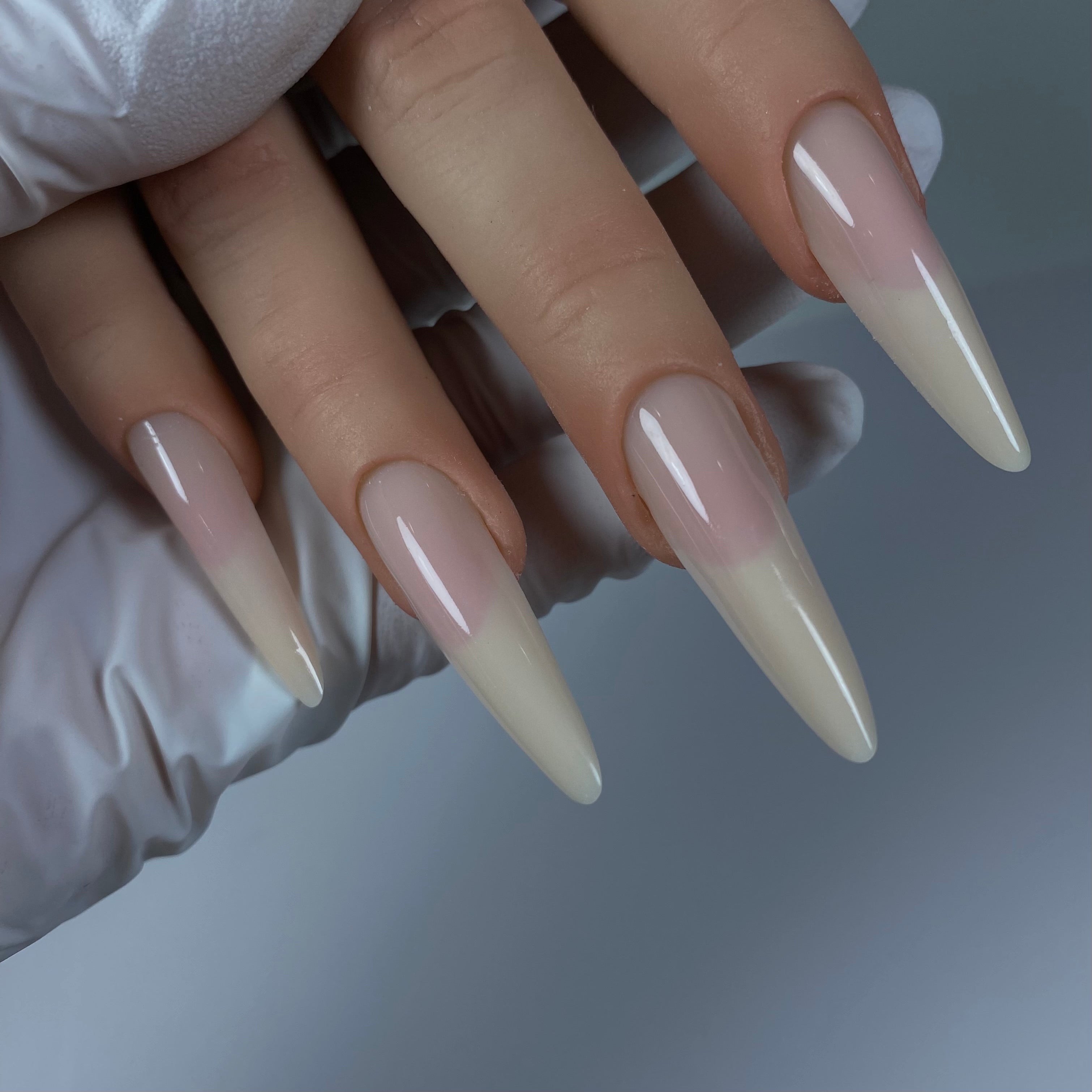 Stiletto Reverse French Dual Forms