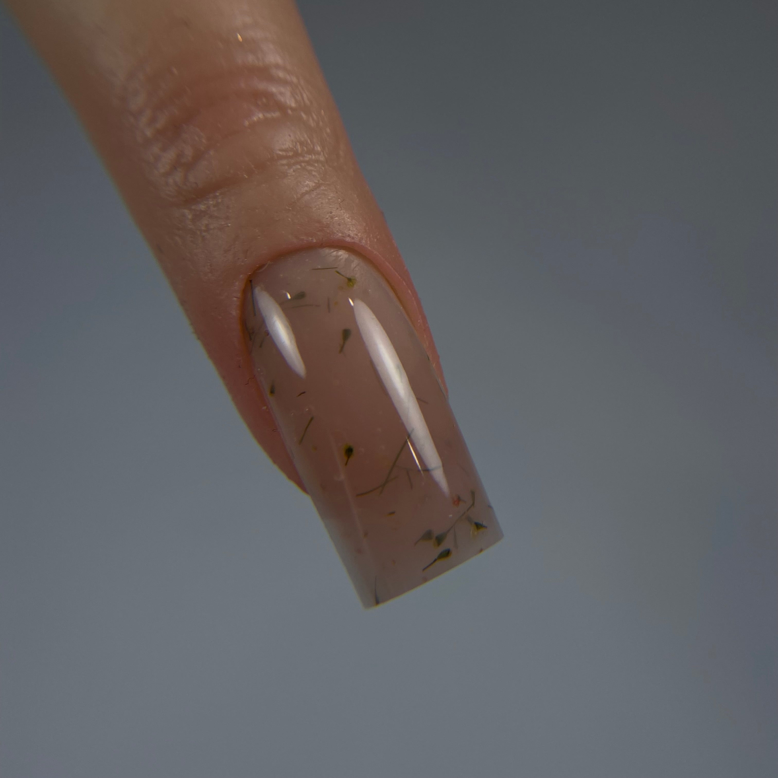 Camellia Formation Gel