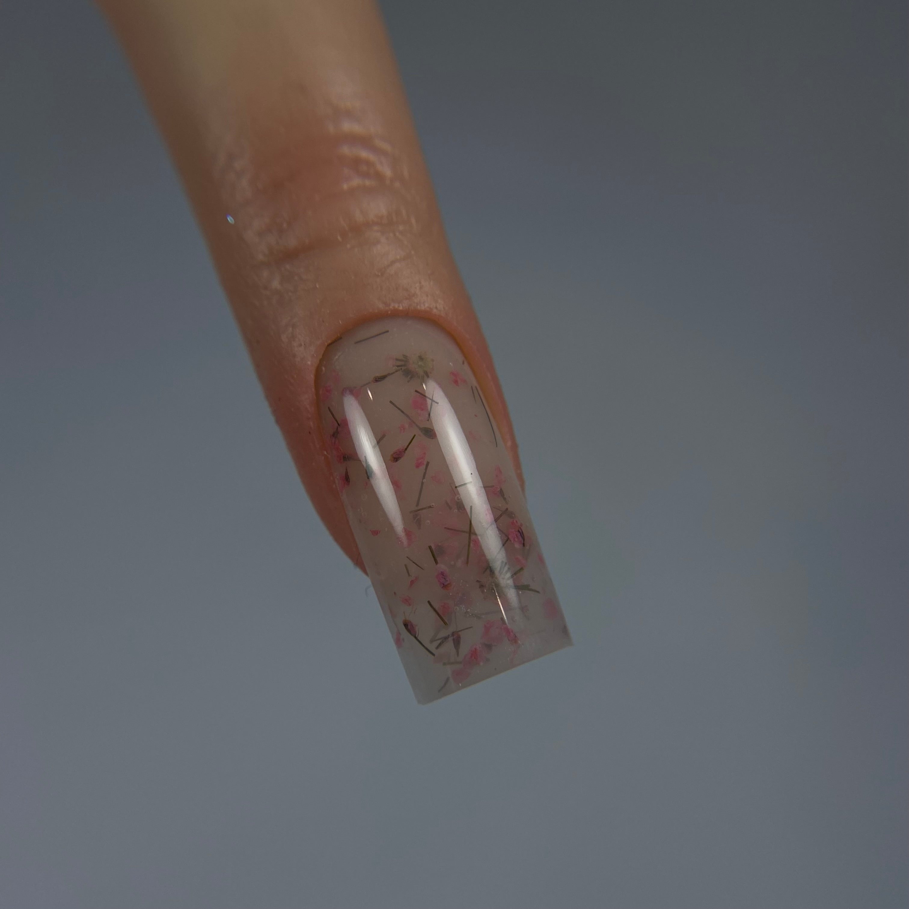 Petunia Formation Gel